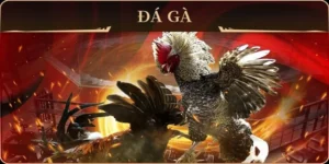 Cách Chơi Đá Gà GA28 Tại For88 Dễ Thắng Cho Người Mới