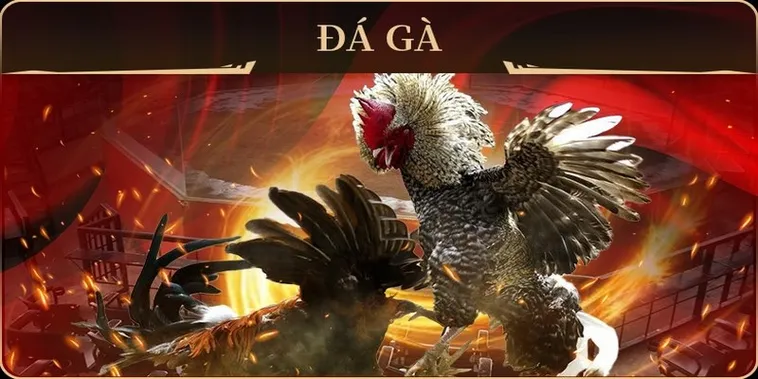 Cách Chơi Đá Gà GA28 Tại For88 Dễ Thắng Cho Người Mới