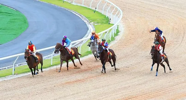 Tìm Hiểu Cá Cược Đua Ngựa For88: Hành Trình Thắng Lớn